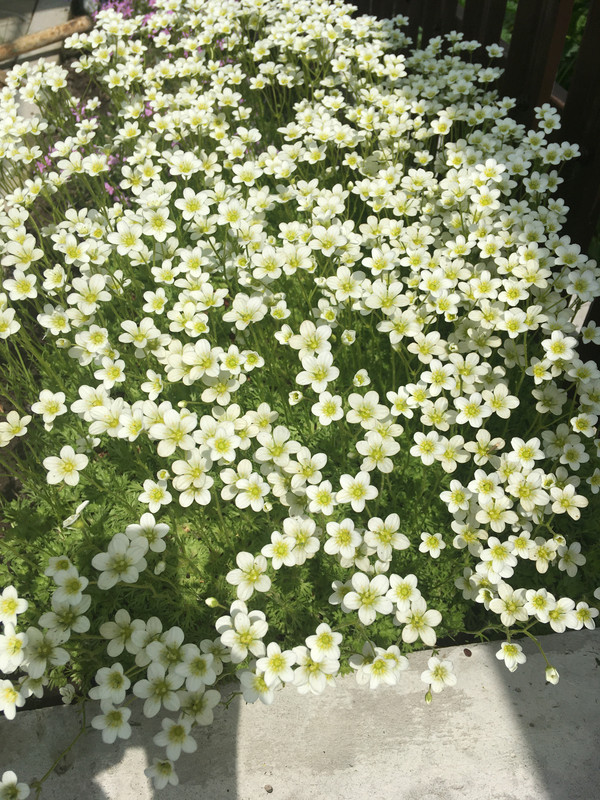 BBA3358F-B06E-4FA1-BC53-64D07B5DC194