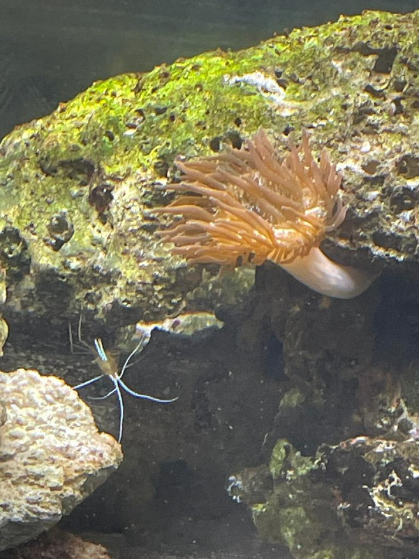 WhatsApp Image 2021-11-02 at 13.38.14 (6)