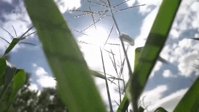https://i.postimg.cc/BZhsMr7B/video-2026-08-18-09-20-19-(1).gif