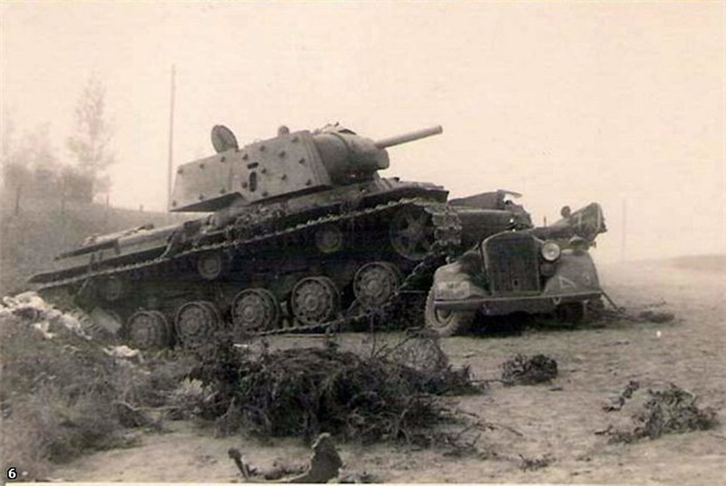 8036419.jpg