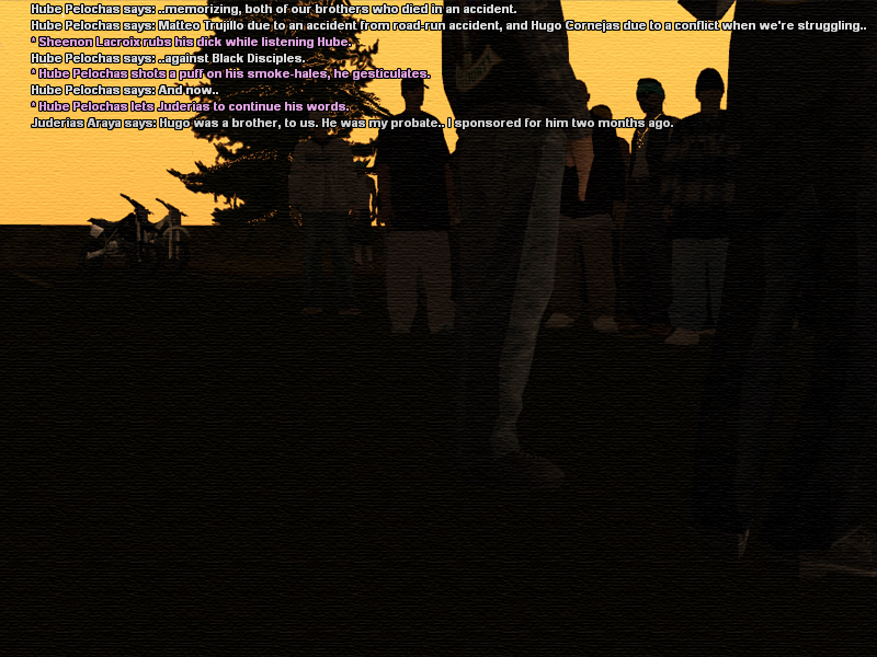 ssroleplay901.png