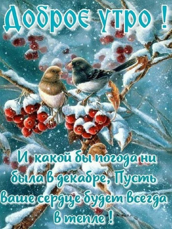 https://i.postimg.cc/BZjKkhXr/IMG-20221227-WA0004.jpg