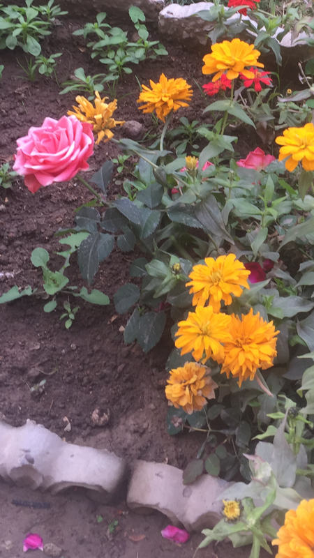 EBA662BA-7A75-4C28-95C9-509067D22548