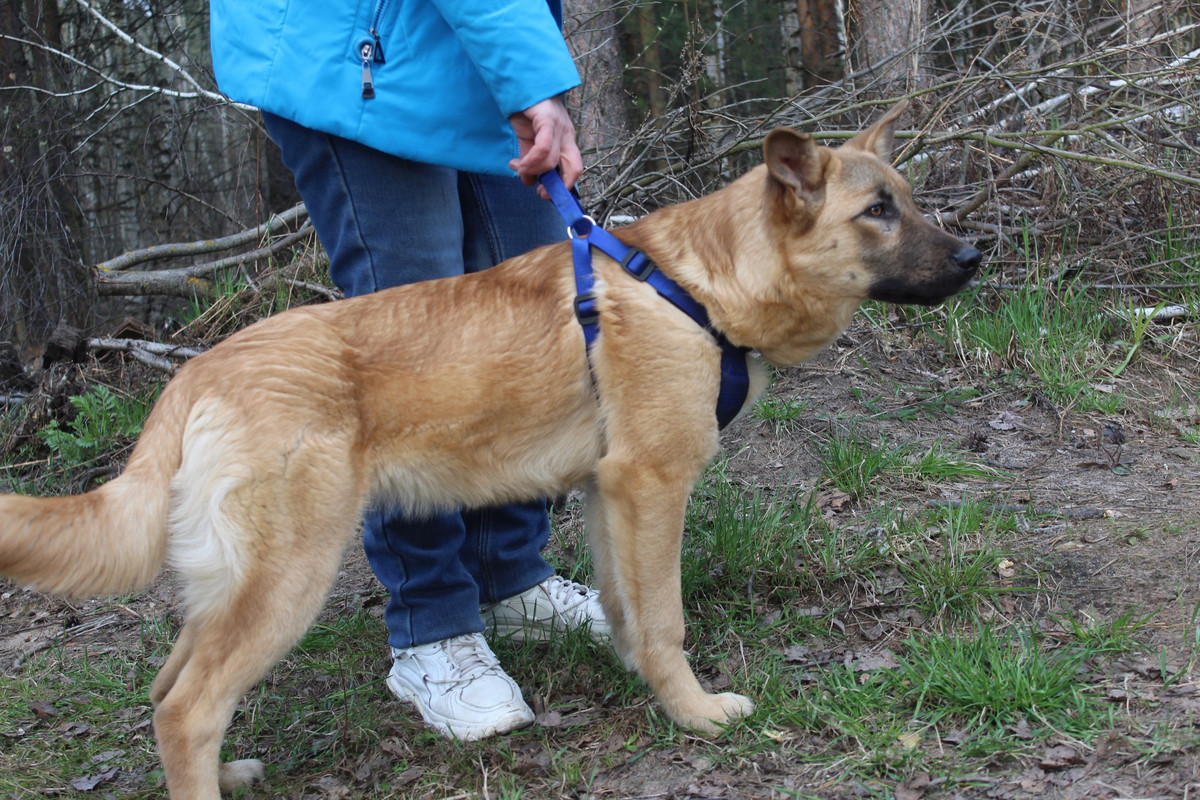 QRTqd1HELaWG0zywotZARtSZgSdVFnvZiWTI0C2h1AengbZZwnMdE2sDWJPiV9ZHkuX7wPmDKnkxtpvkdiWElx8r