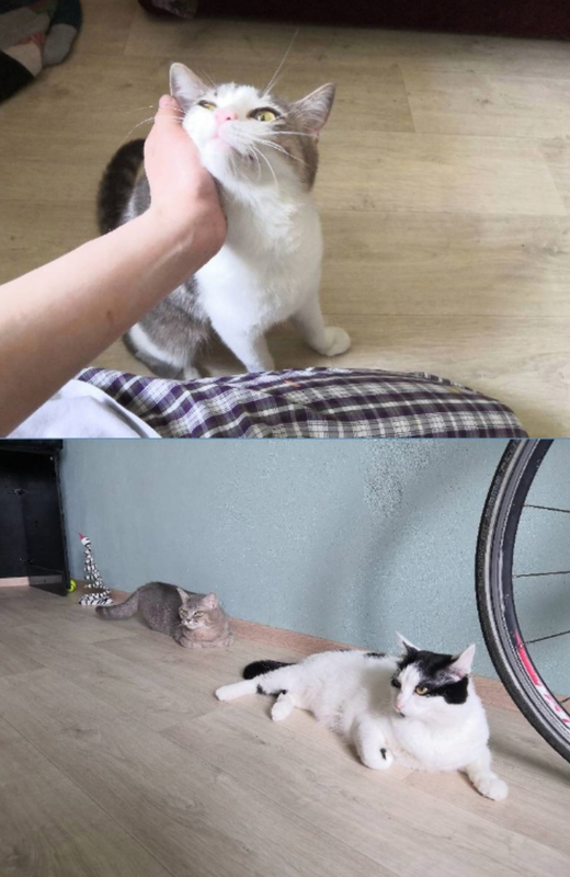 Screenshot_20220429_065503_com.android.gallery3d (1)