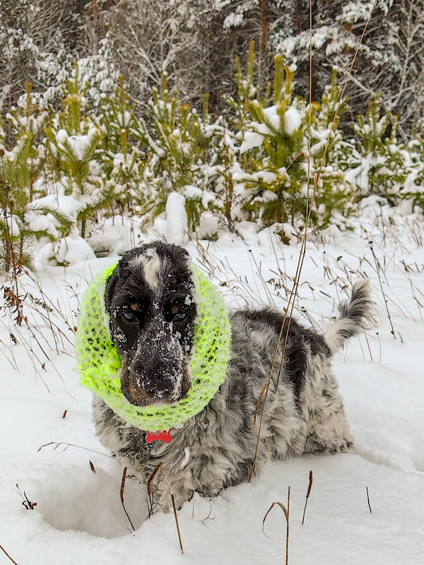 IMG_20231203_152008 (2)