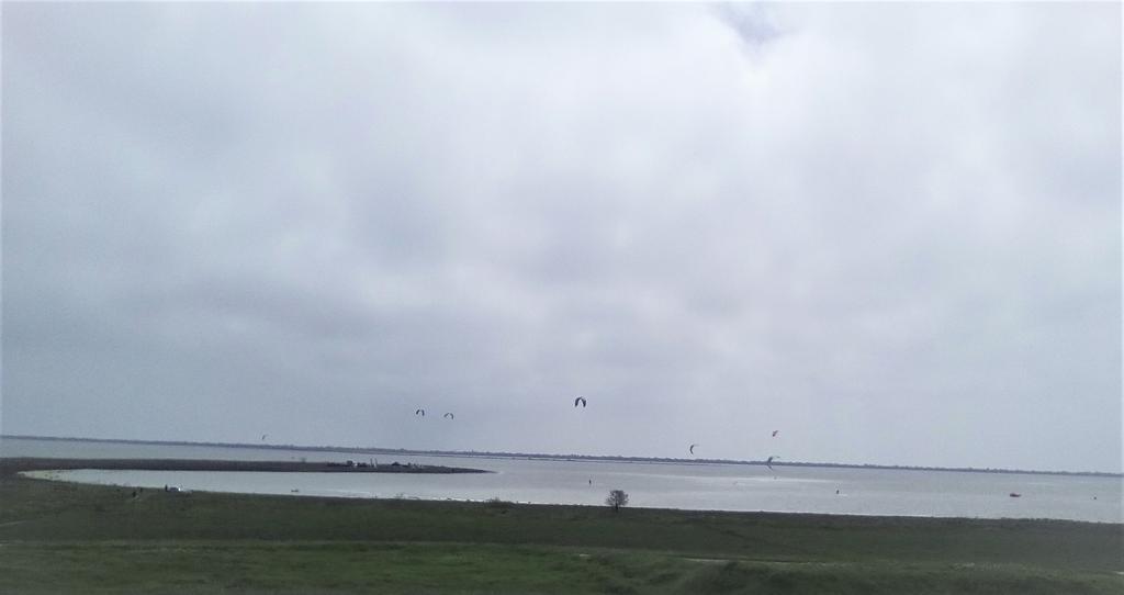 IMG-20190428-130148.jpg