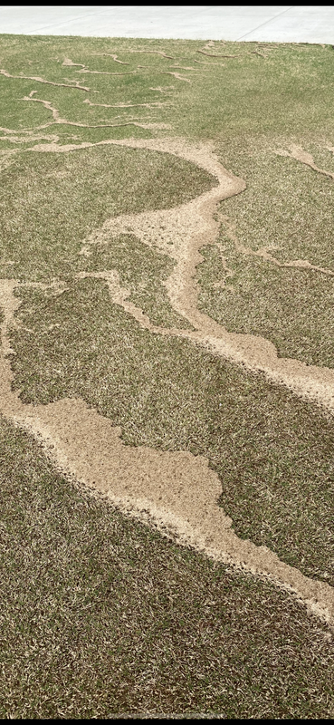 E1CE8269-94B2-412C-8CC7-54518470479B