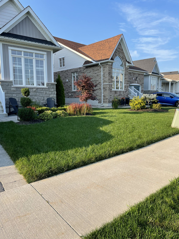 F516103F-96E5-46B7-8E5C-A8A9F03885DF