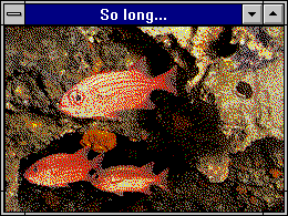 A gif of fish.