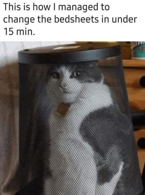 Catchangesheets97ac01cfaafa11ca.jpg