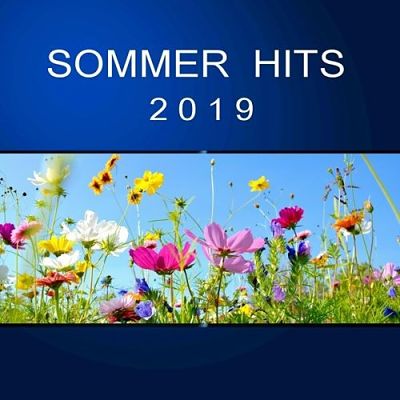 VA - Sommer Hits 2019 (08/2019) VA-Som-opt