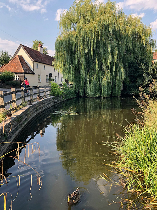 duck-pond-cyclist-august-2020-HD.jpg