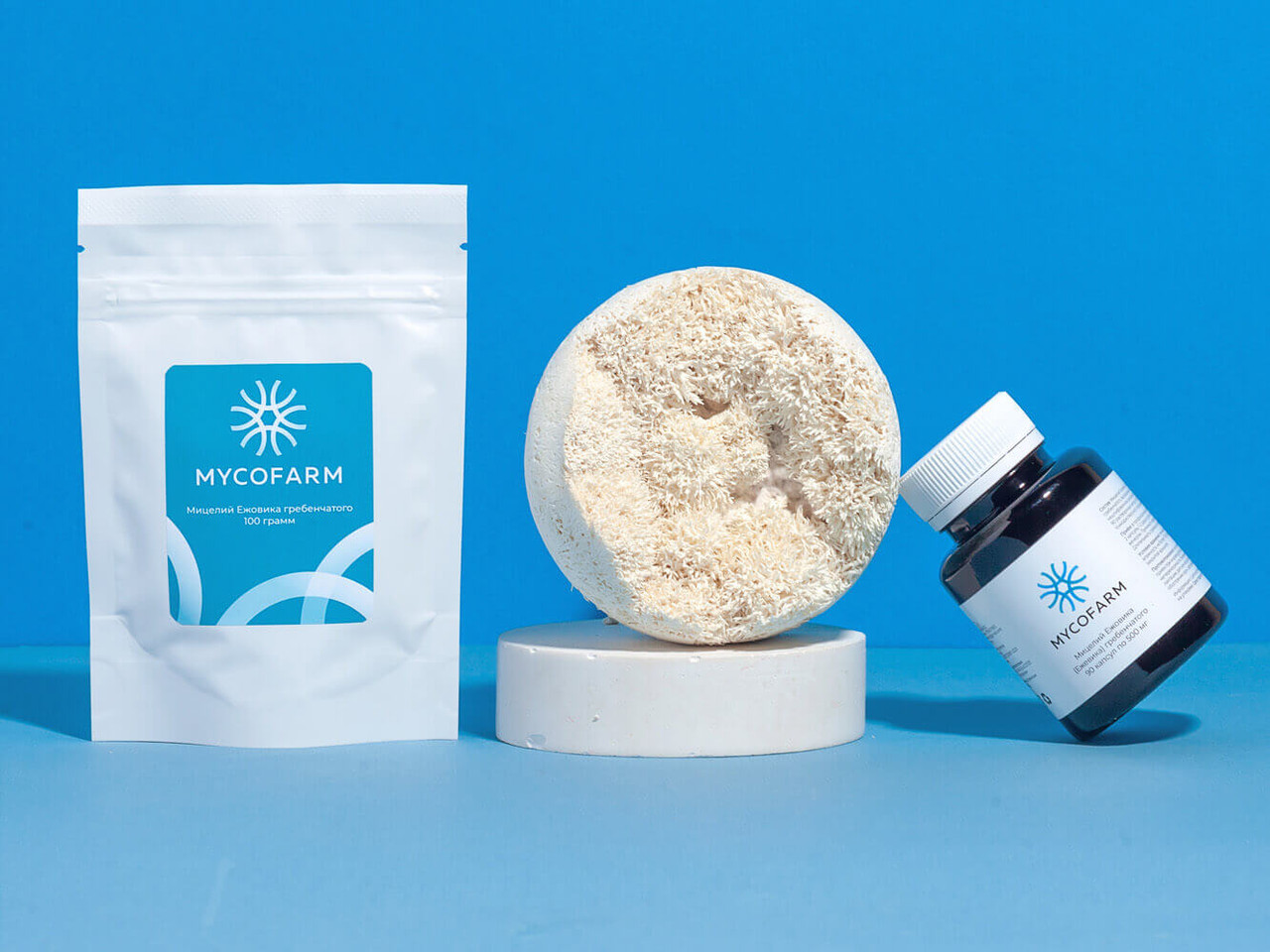 Ежовик гребенчатый