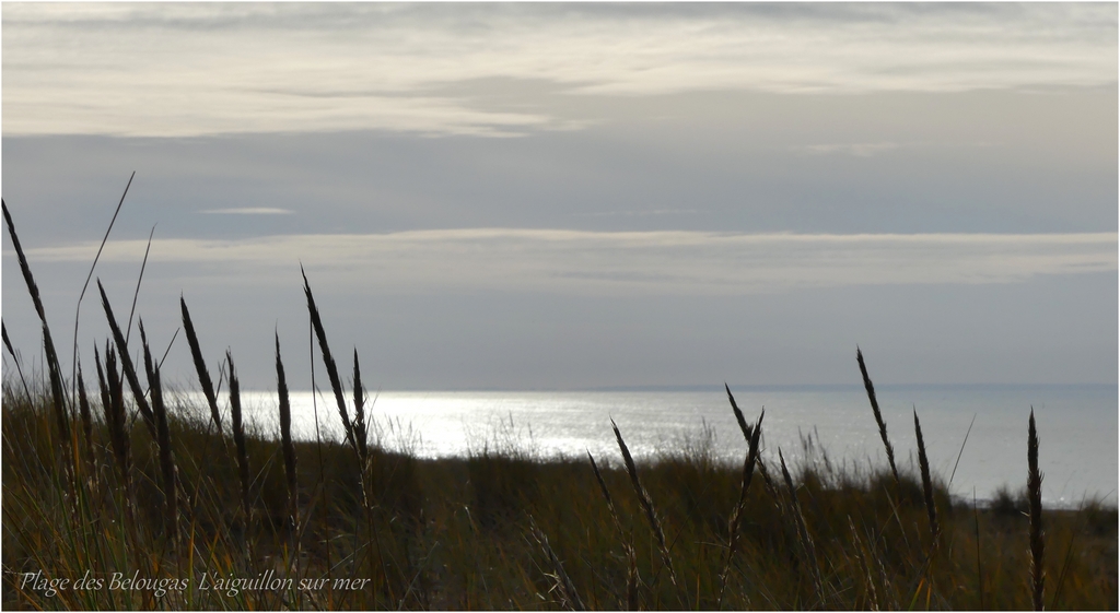 maritimes P1120220