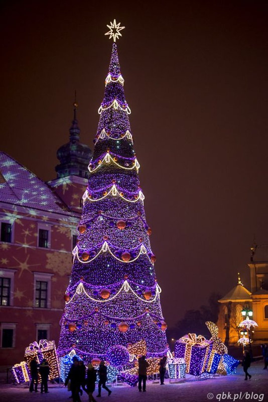 purple-tall-xmas-tree.jpg