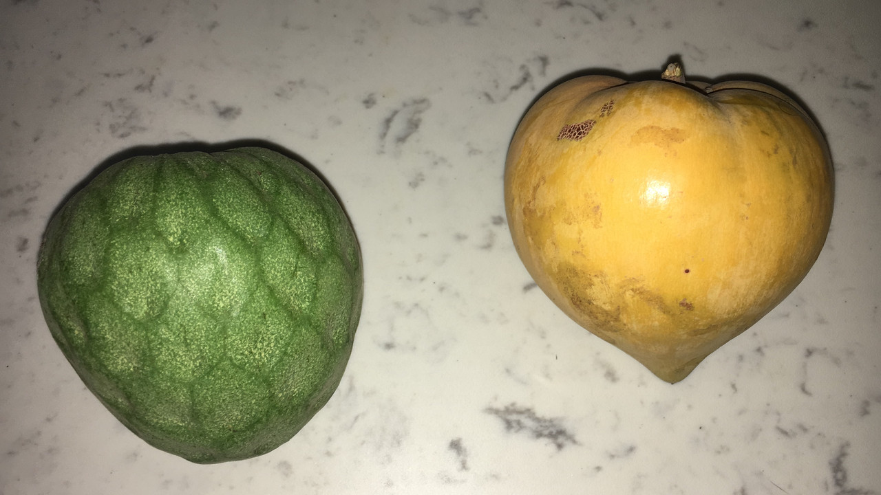 093E997C-F2C8-49BC-8354-20425C6F28FB