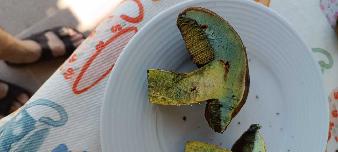 WhatsApp Image 2023-08-02 at 16.58.31 (2)