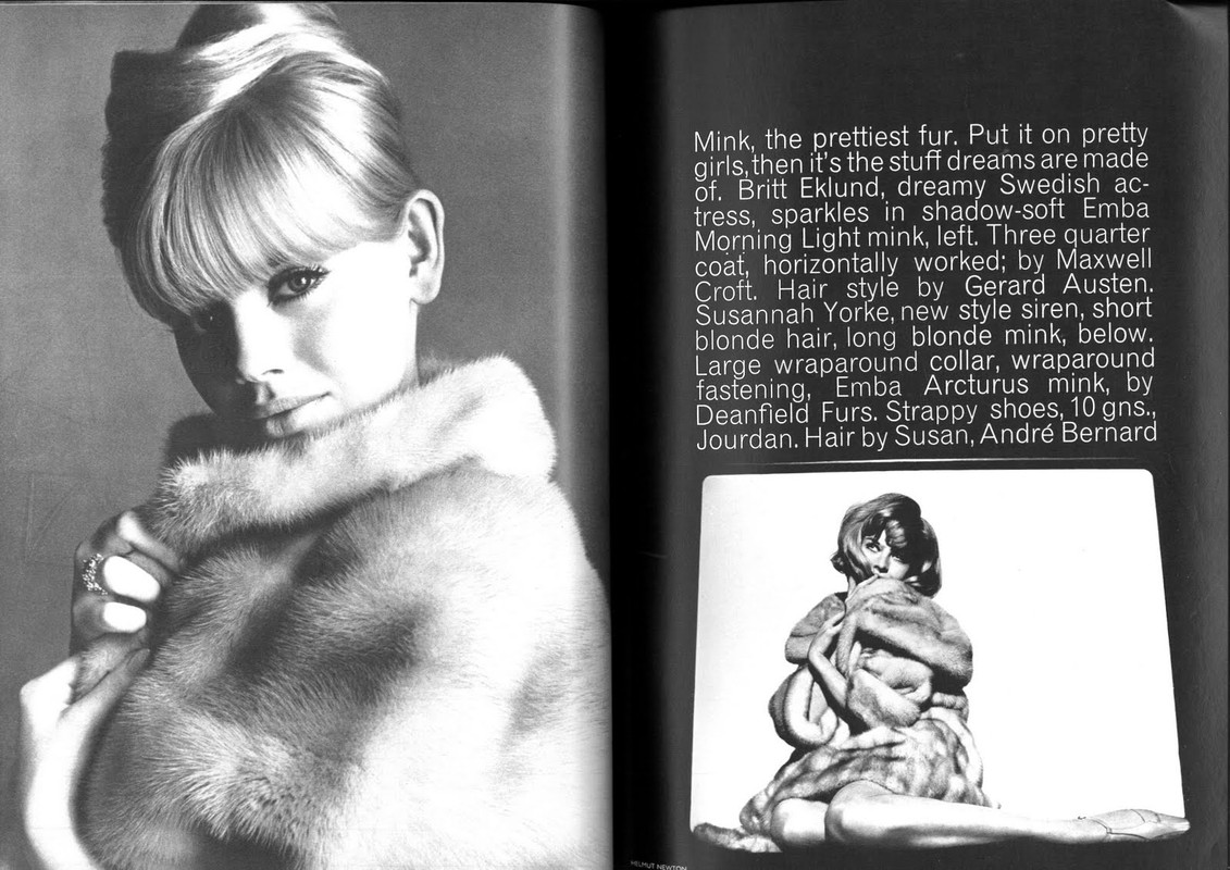 MX-2600N_20100616_181727_013