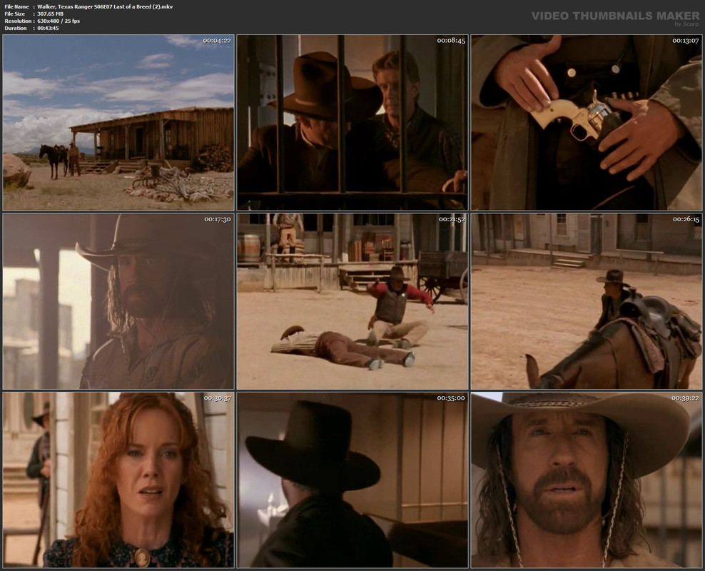 Walker, Texas Ranger S06E07 Last of a Breed (2).mkv