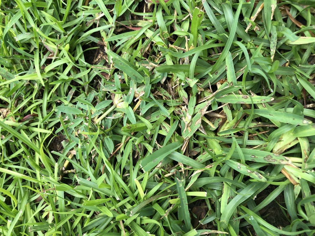 EBECE28F-D835-41B5-8121-AC416012830D