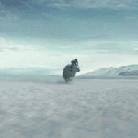 hitching-a-ride-av.gif