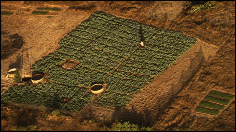 [Image: r67lu1x1vznb.png]