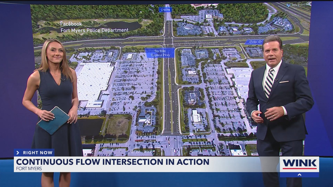 WINK News at 11_20250212_04000435.ts_snapshot_03.38.517