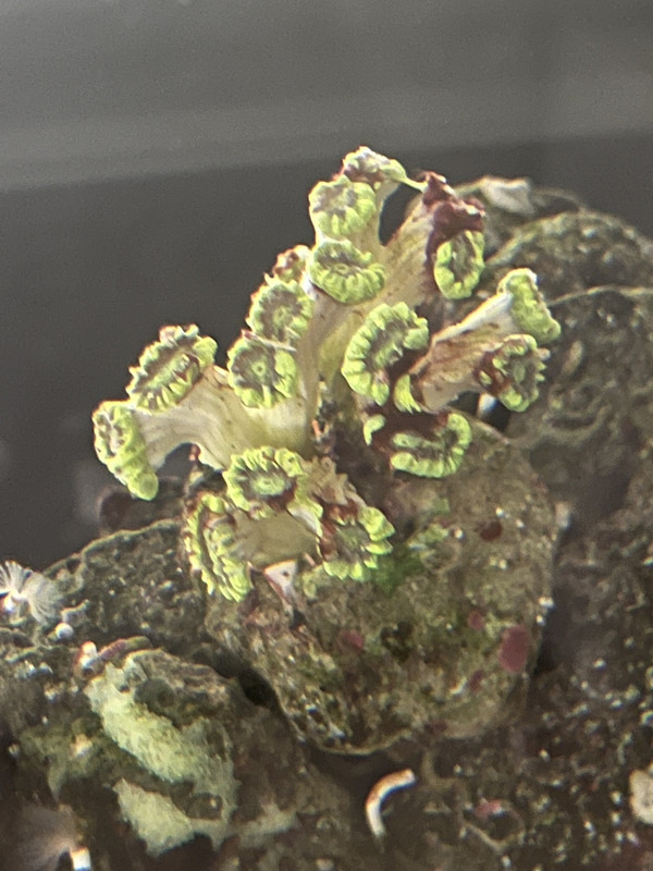 DCFAC86F-A013-482F-95FA-0FA7C07D664F