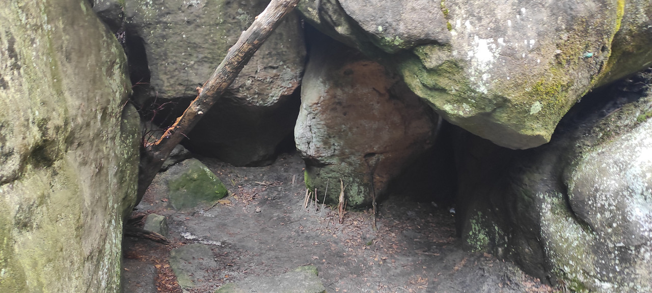 02.02 - IMG_20230429_110353 (Czesio1)