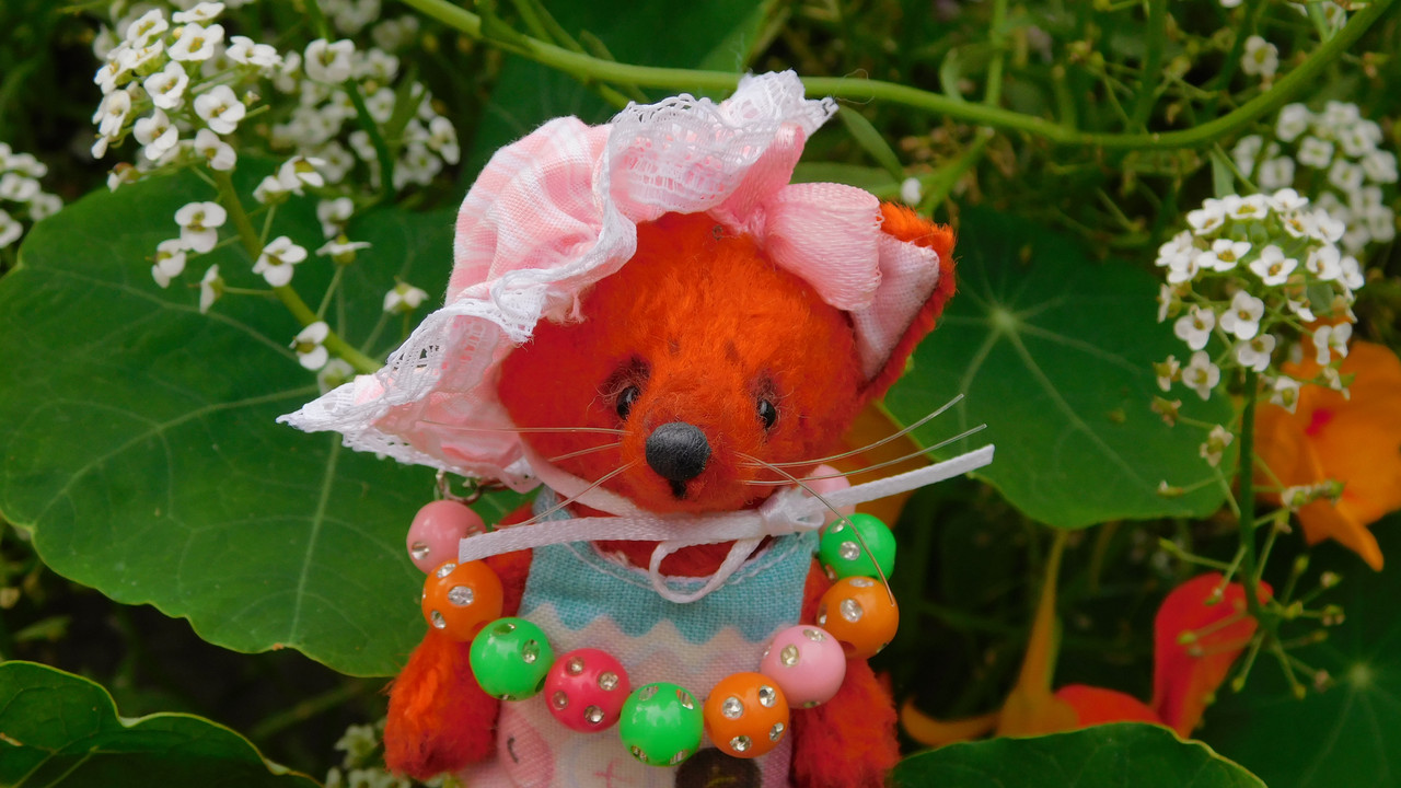 Дачное и  к Хелл сентябрь 2023 208