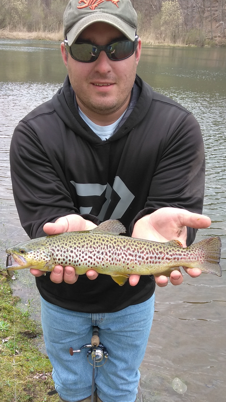 Screenshot_20180429-174443