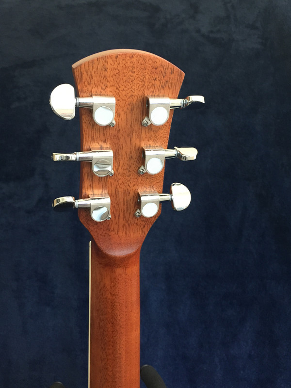 Dana-3-back-of-headstock.jpg