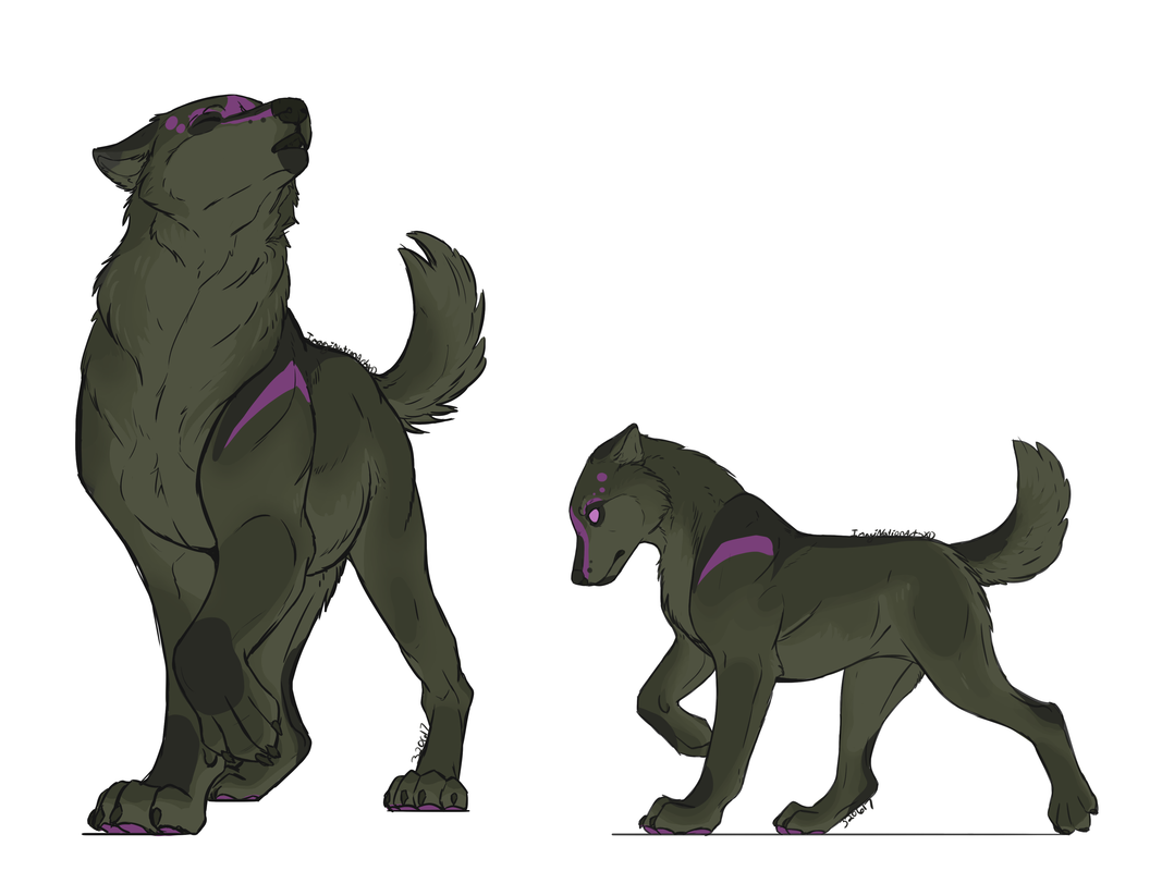 Conets-Design-1.png