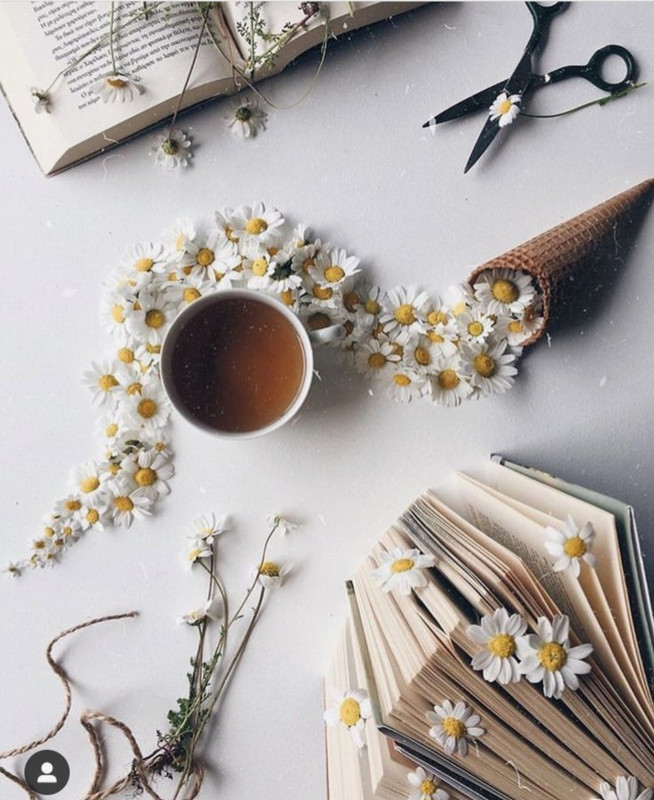 Screenshot_20240506_231129_Pinterest