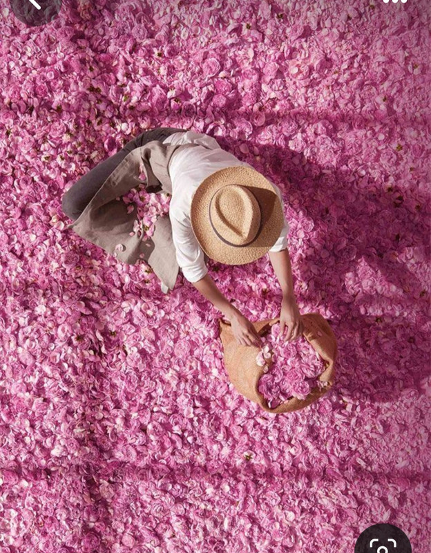 Screenshot_20240331_204042_Pinterest