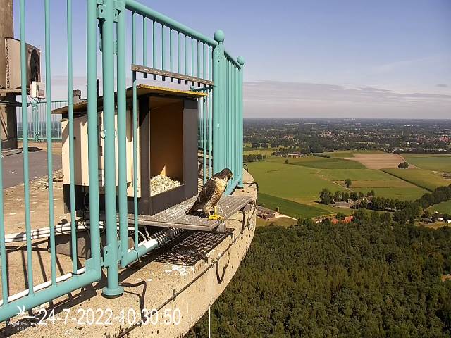 campics © VWGGemert vanaf 1 juli 2022 - Pagina 7 2