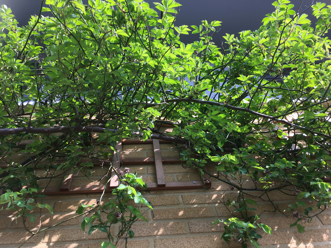 895E38B5-A64E-41BD-8CCF-C94C09C53EB7