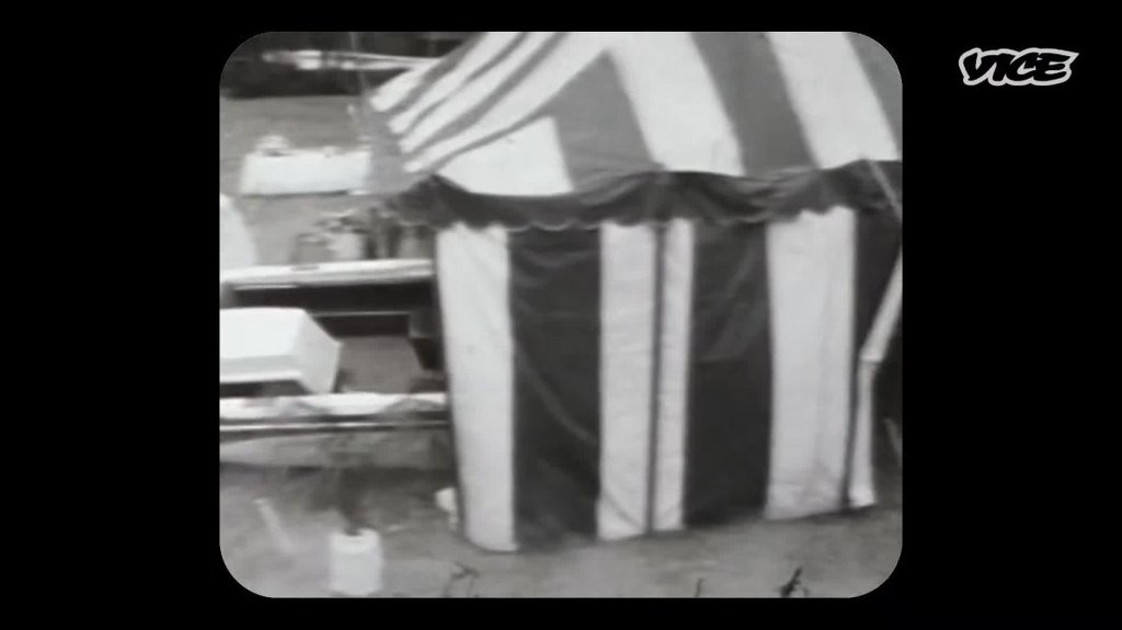 [Image: ypnkv915zb8r.jpg]