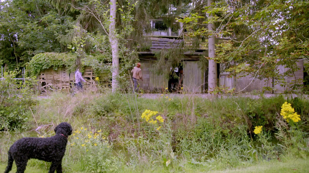 [Image: si3x6xyp7cc6.png]