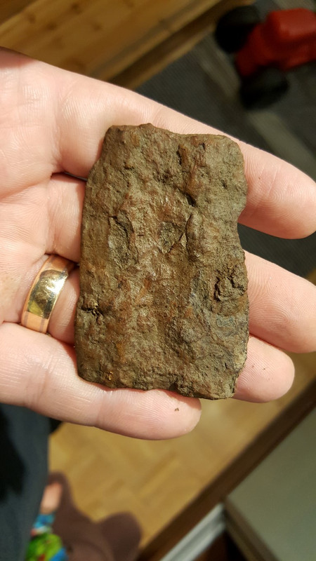 20171007_172030 (Medium)