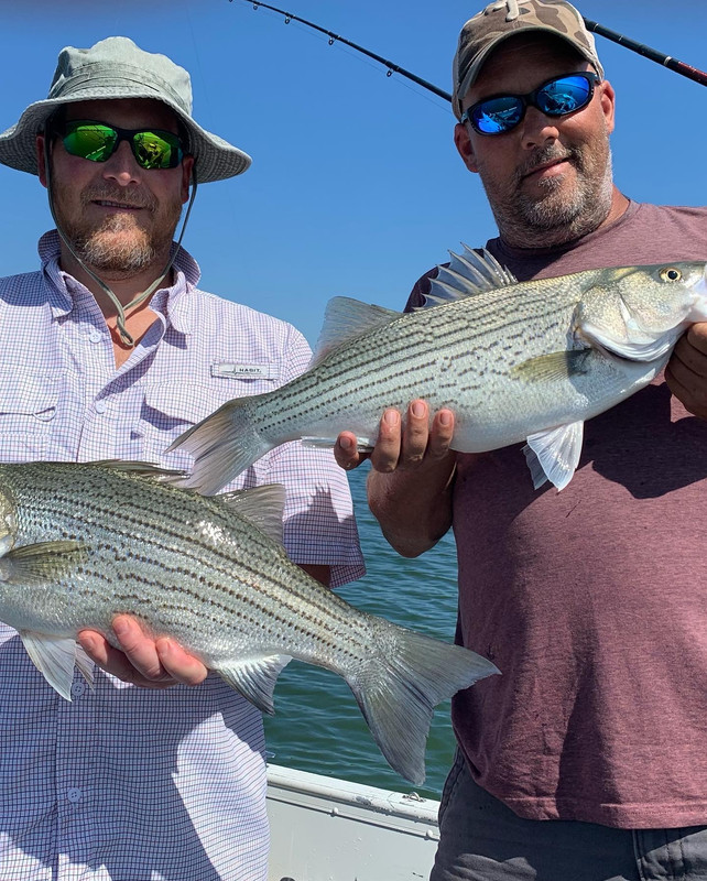 D2C3C1CF-1A33-49CC-88AB-DF138B6D26EC