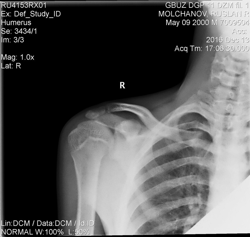 Молчанов0002