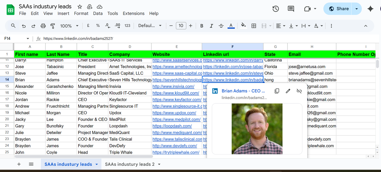 Lead Generation Project