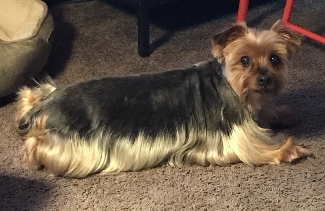 8747EBEF-D2FB-4FD8-A369-269FDF28C9F1