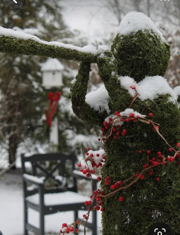 Screenshot_20240201_222823_Pinterest