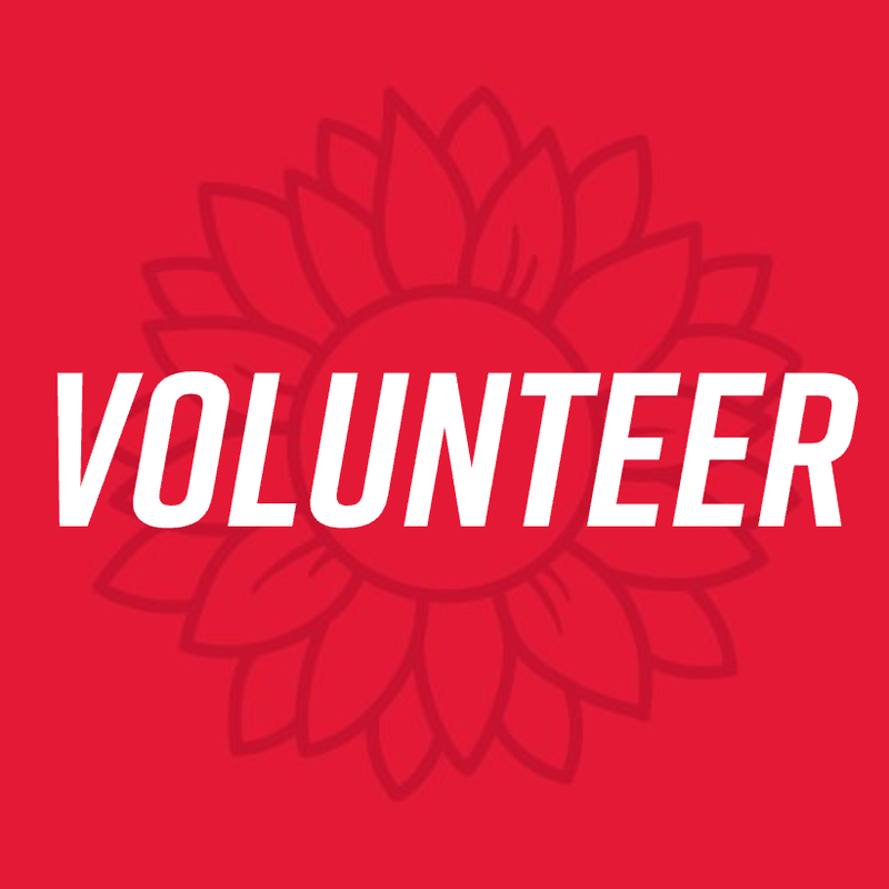 Volunteer