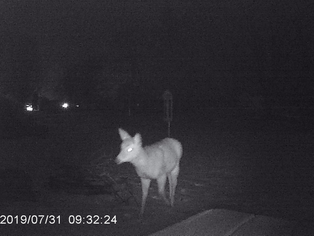 5EEA1E90-882A-4414-94CF-68B9B09302D5