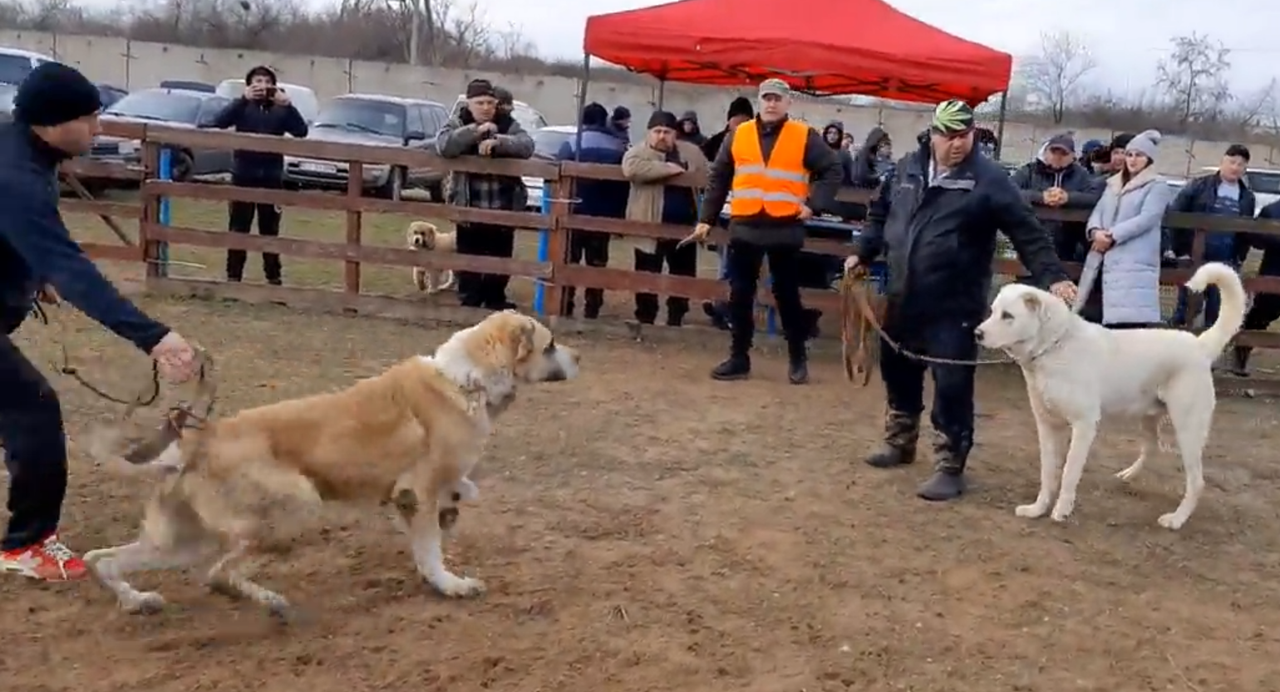 2019.12.29 Victoty 3Т Одесса БАЛУ х БЕЛ 1А