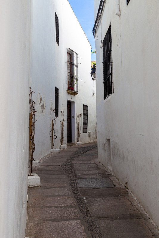 IMG_1657 (FILEminimizer)